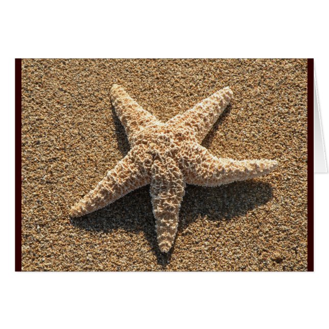 Cartão Estrela do mar na praia (Frente Horizontal)