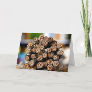 Cartão Estrelas ao longo das árvores de madeira de algodã