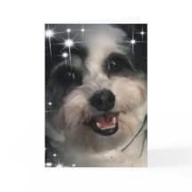 Estrelas do K-Cee Obrigado