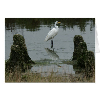 Cartão Estuário em Pajaro Dunes
