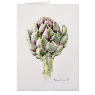 Cartão Estudo 1993 da alcachofra