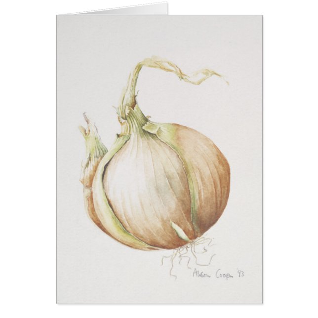 Cartão Estudo 1993 da cebola (Frente)