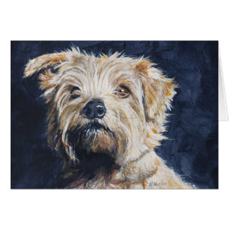 Cartão Estudo da cabeça de Norfolk Terrier