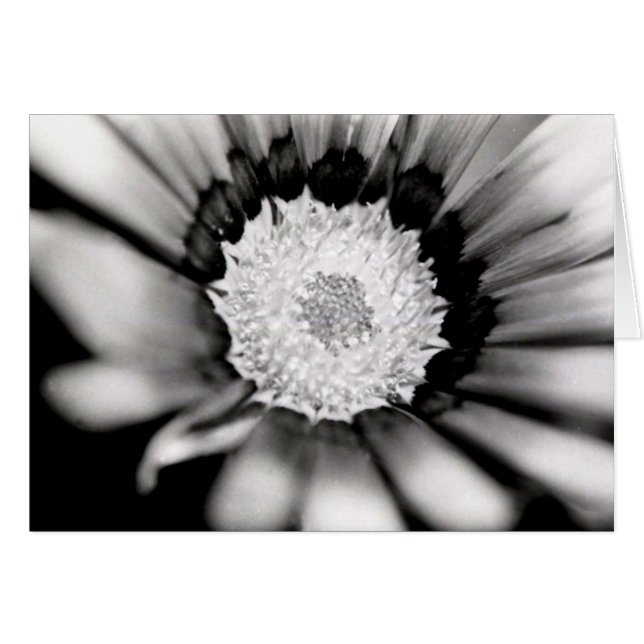 Cartão Estudo da flor (Frente Horizontal)