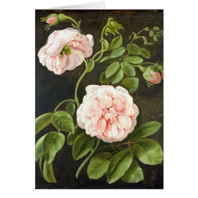 Cartão Estudo da flor (Frente)