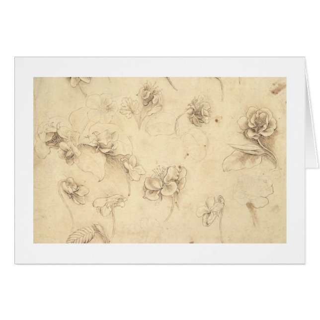 Cartão Estudo das flores Grama-como de plantas (Briza M (Frente Horizontal)