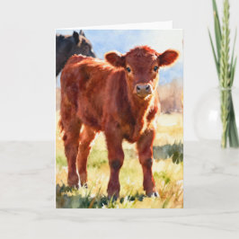 Cartão Estudo de Bezerro Angus Vermelho C em Aquarela