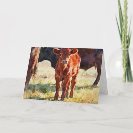 Cartão Estudo de Bezerro Angus Vermelho em Aquarela