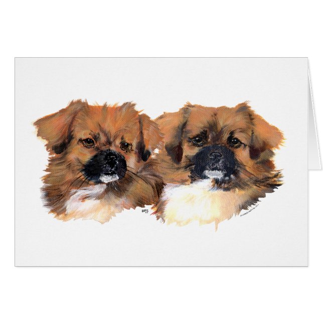 Cartão Estudo de Cabeça de Espanhóis Tibetanos (Frente Horizontal)