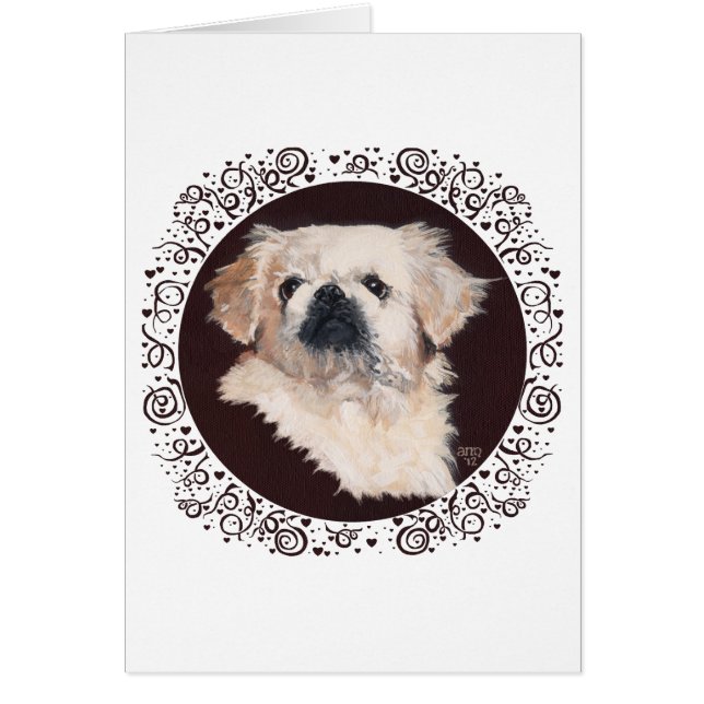 Cartão Estudo de Cabeça de Pekingês Branco (Frente)