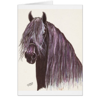 Cartão Estudo de Cavalo Frísia