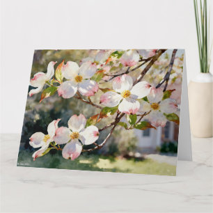 Cartão Estudo de Flores de Dogwood B em Aquarelas