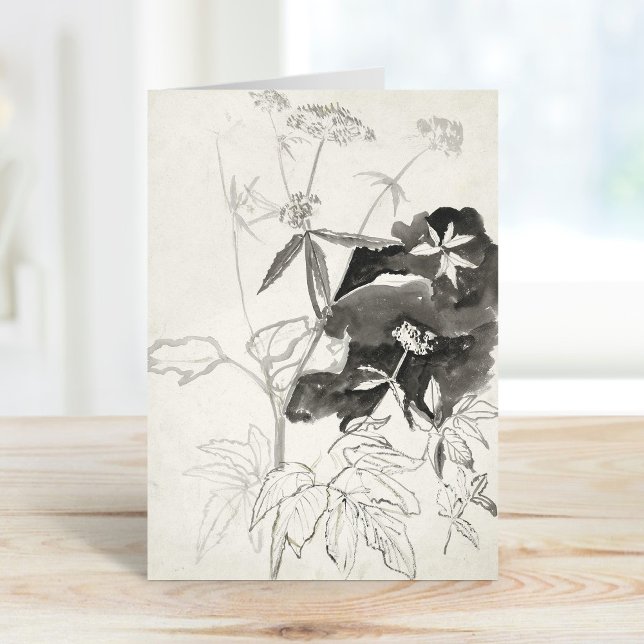 Cartão Estudo de Planta | Carel Adolph Cachet (Criador carregado)