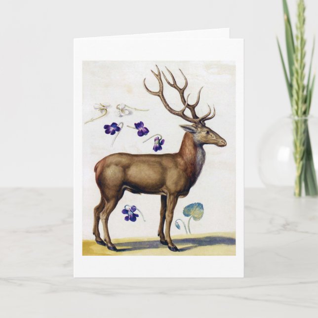 Cartão Estudo de Veado e Flor, Arcimboldo (Frente)