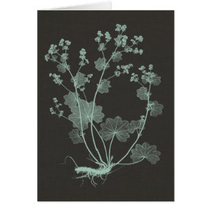 Cartão Estudo I sobre a Natureza da Casa da Moeda e do Ca