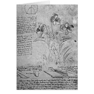 Cartão Estudos das violas