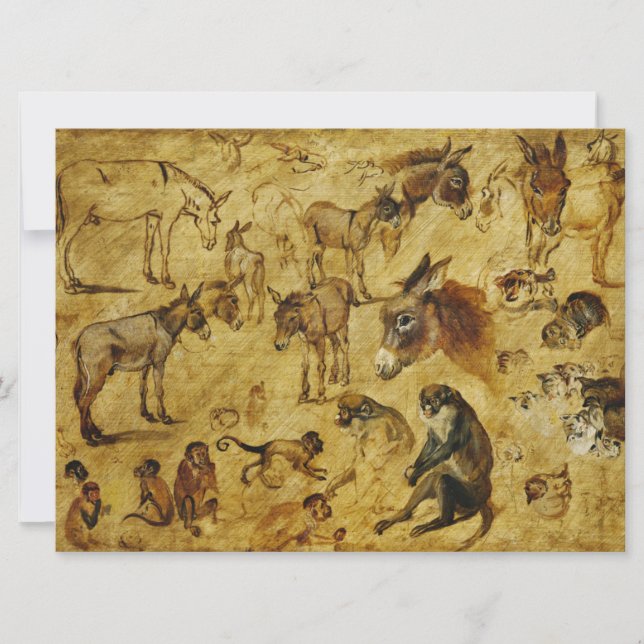 Cartão Estudos de Animais: Macacos, Macacos, Gatos e Cães (Frente)