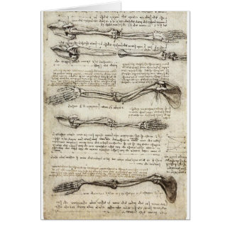 Cartão Estudos do braço por Leonardo da Vinci C. 1510