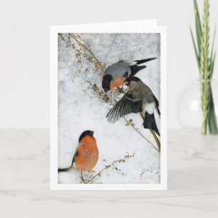 Cartão Estudos sobre a lebre selvagem (coelho), Bruno Lil