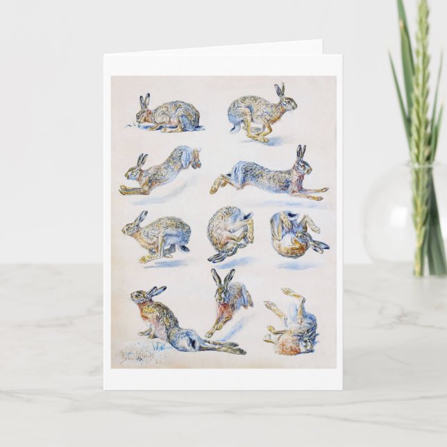 Cartão Estudos sobre a lebre selvagem (coelho), Bruno Lil (Frente)