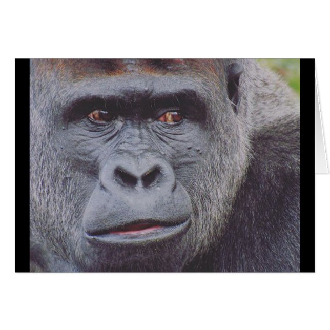 Cartão estúpido (Frente Horizontal)