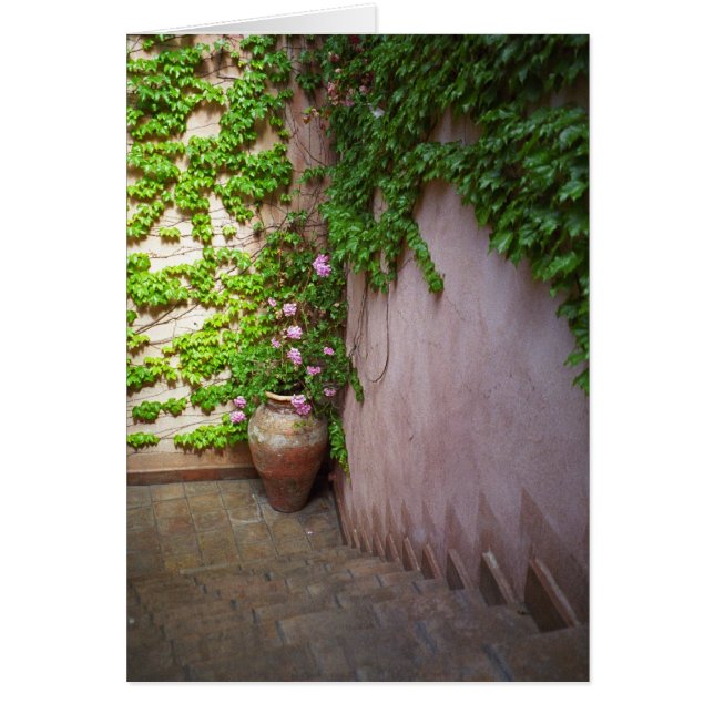 Cartão Etapas (Frente)