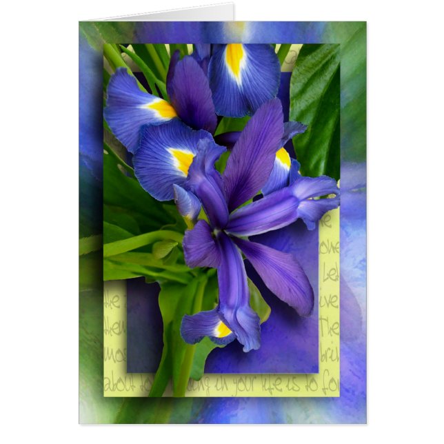 Cartão Etapas à remissão (Frente)