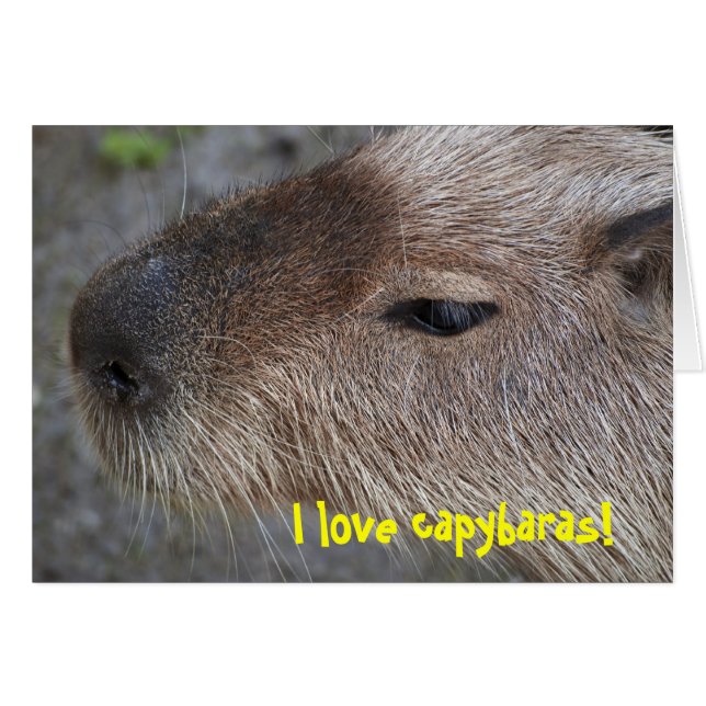 Cartão Eu adoro capybaras (Frente Horizontal)