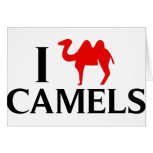 Cartão Eu amo camelos