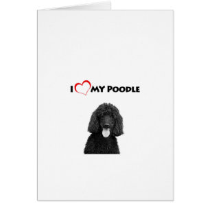 Cartão Eu Amo Coração Meu Poodle