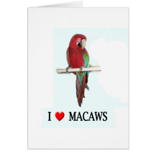 Cartão Eu amo Macaws