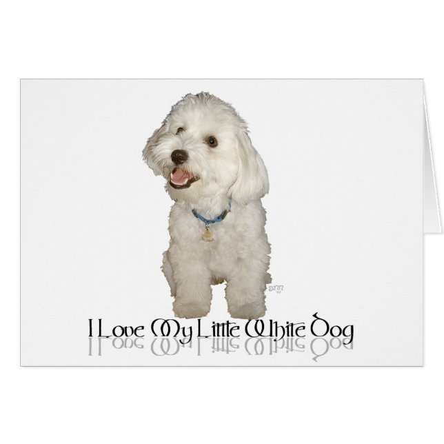 Cartão Eu Amo Meu Cachorrinho Branco - Havanese (Frente Horizontal)