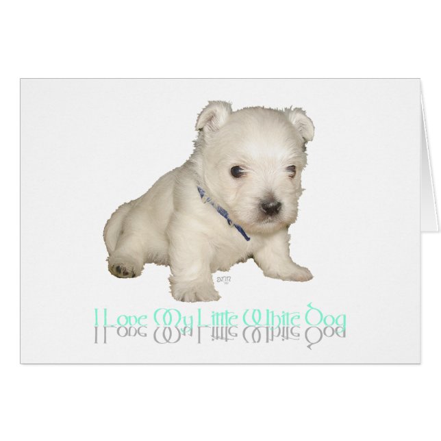 Cartão Eu Amo Meu Cachorro Branco - Cachorro Maluco (Frente Horizontal)