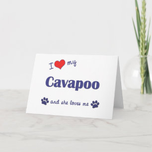 Cartão Eu amo meu Cavapoo (o cão fêmea)