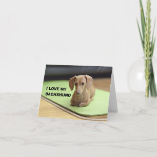 Cartão Eu Amo Meu Dachshund de Creme com foto