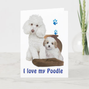 Cartão Eu amo meu Poodle