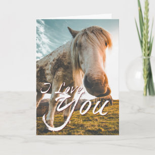 Cartão Eu amo você com cavalo olhando