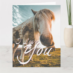 Cartão Eu amo você com cavalo olhando