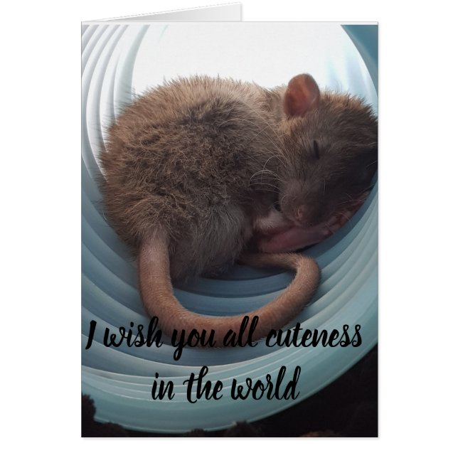 Cartão Eu desejo-lhe todo o cuteness no mundo (Frente)