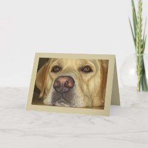 Cartão Eu falto-o - Labrador amarelo bonito
