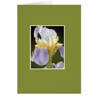 Cartão Eu floresço com você