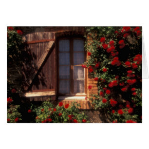 Cartão EU, França, Provença, Vaucluse, Apt. Câmara