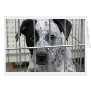 CARTÃO EU FUI MOLDADO!