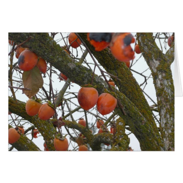 Cartão "Eu gosto sure de pendurar para fora com você. " (Frente Horizontal)