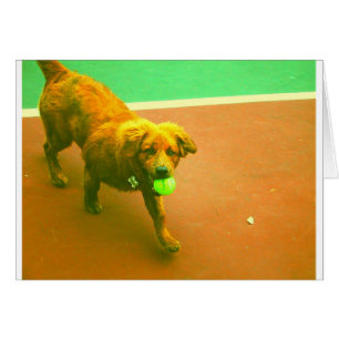 Cartão "Eu jogá-lo-ei a qualquer momento! "