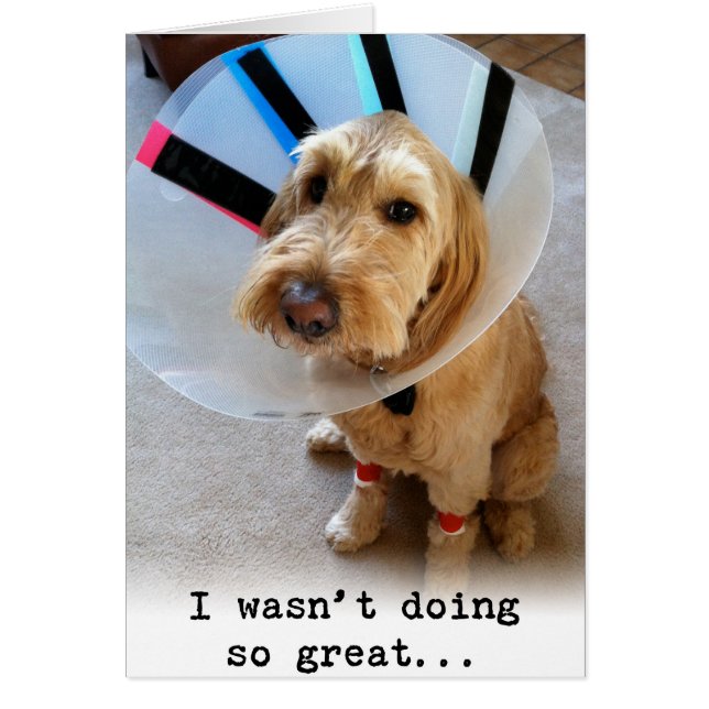 Cartão Eu não fazia tão grande… (Frente)