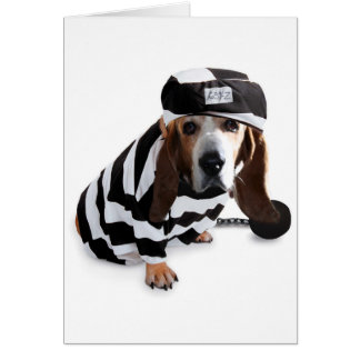 Cartão Eu não o signifiquei…