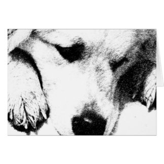 Cartão Eu não pensei no Card