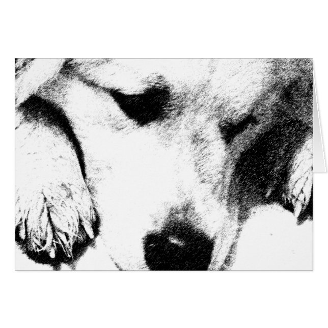 Cartão Eu não pensei no Card (Frente Horizontal)