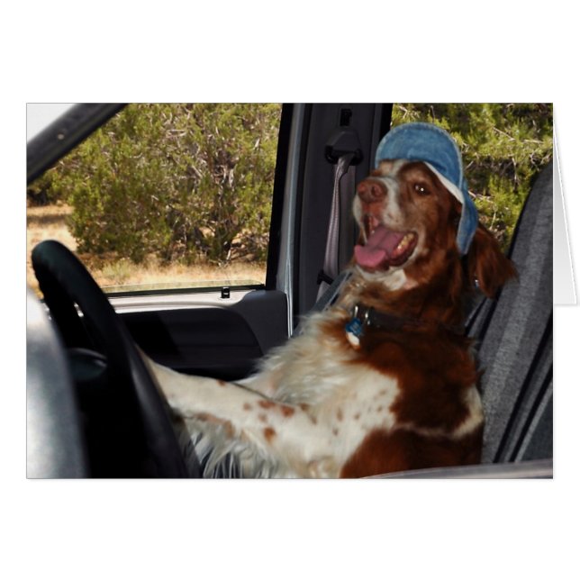 Cartão EU NÃO POSSO DIRIGIR 55! -Personalizável (Frente horizontal)